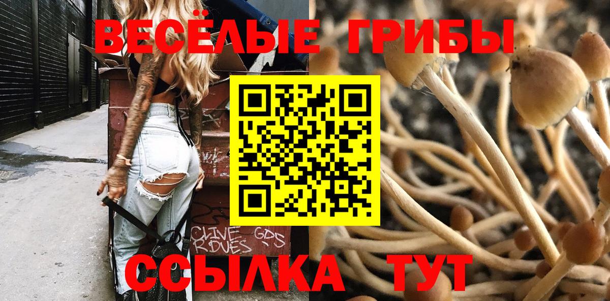 Галлюциногенные грибы MAGIC MUSHROOMS Миасс